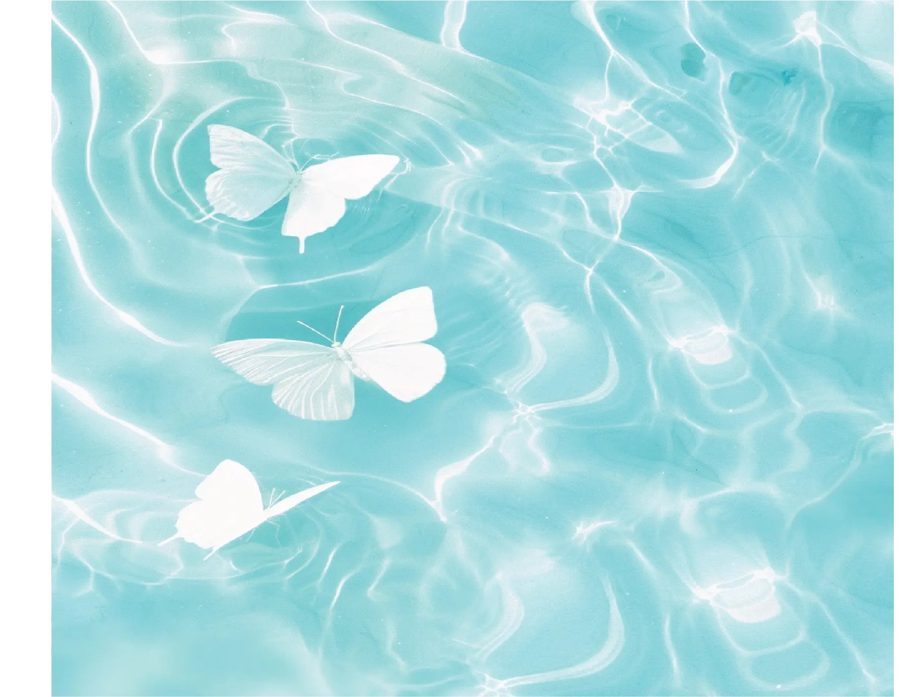 Ozone filtration system