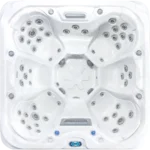 770-S spa in garden setting